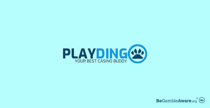 Playdingo Casino Logo